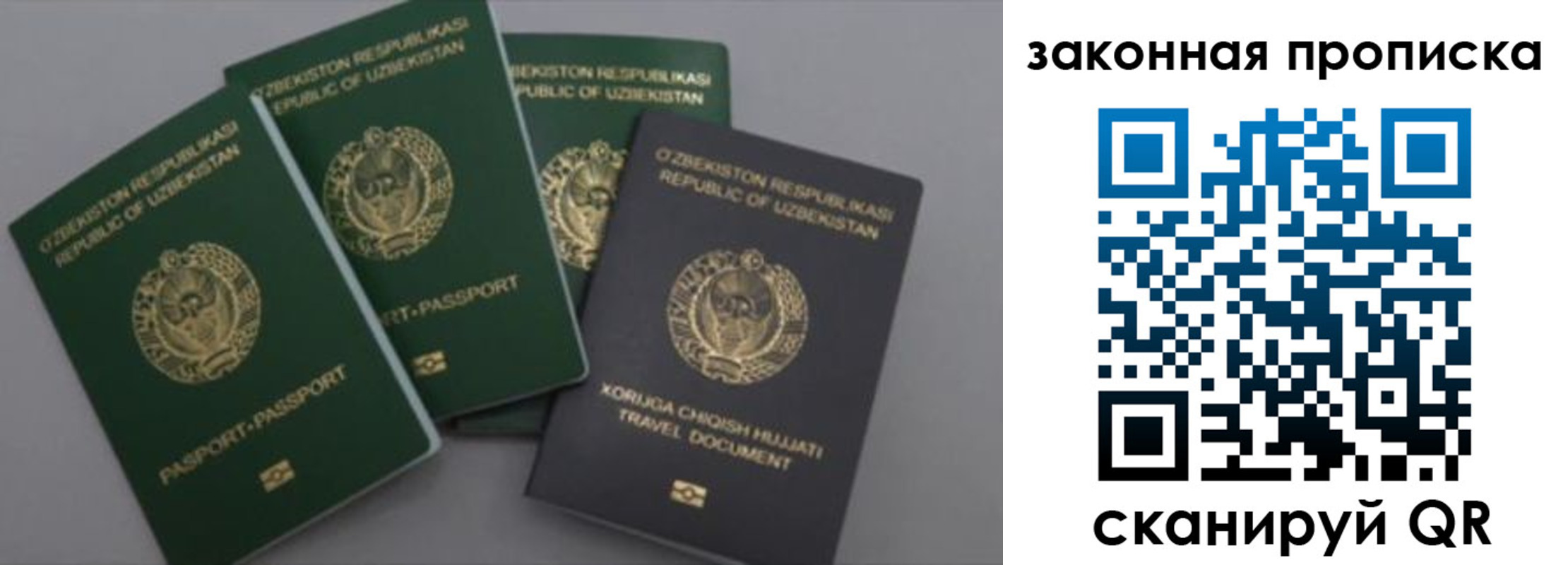 прописка законно в Борзе